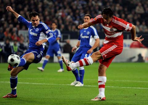 会带来了极 会带来了极