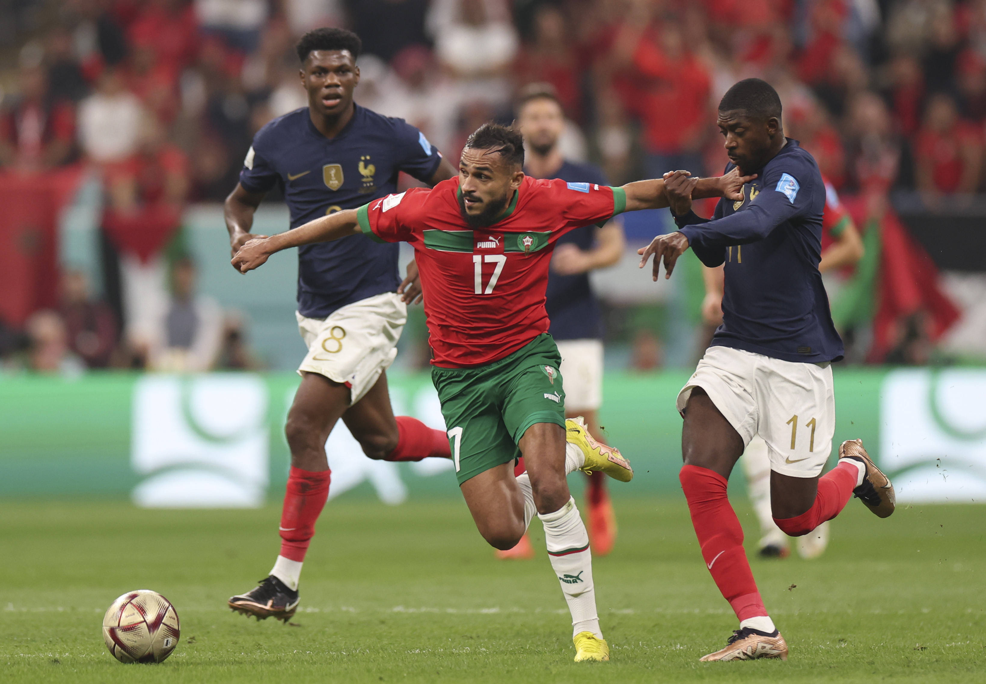 强势表现来 强势表现来