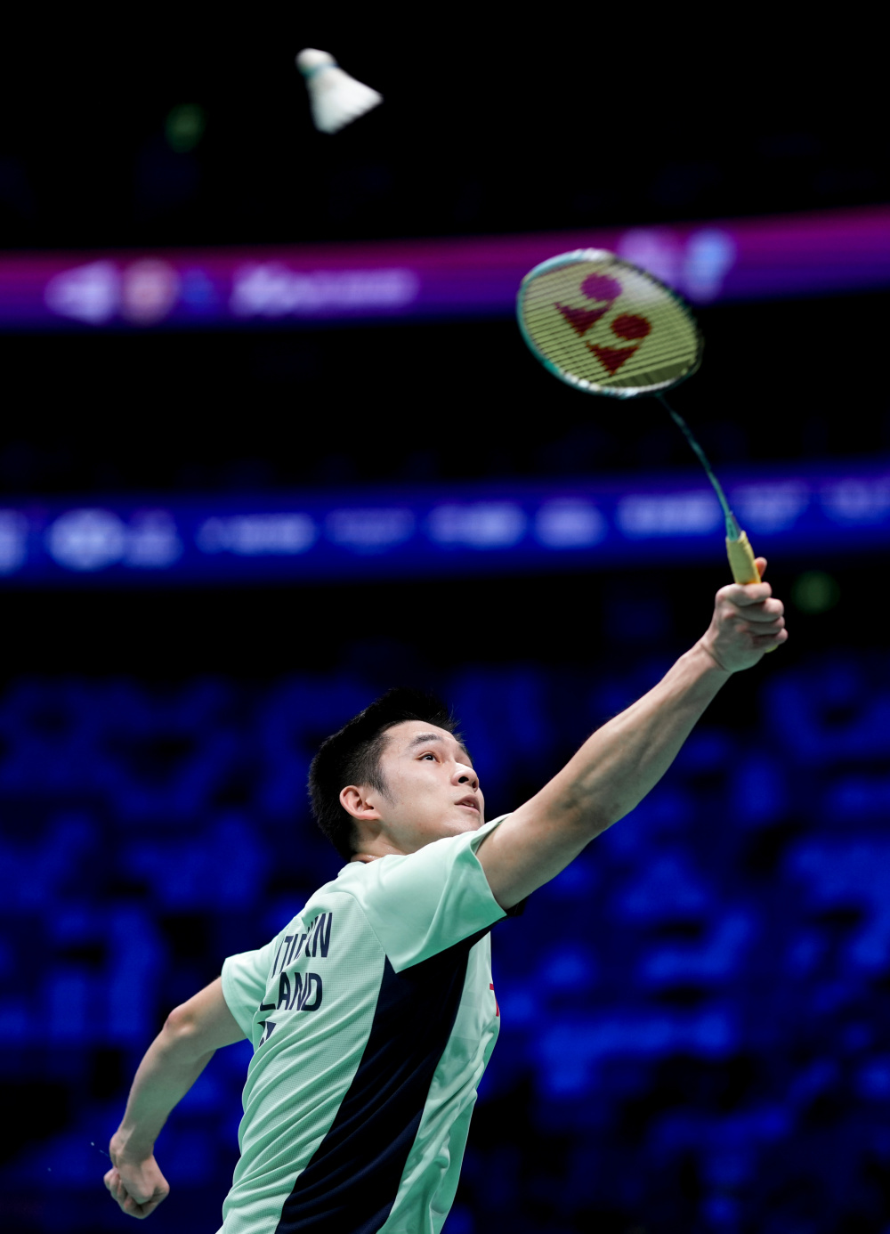 倾向引进年 倾向引进年