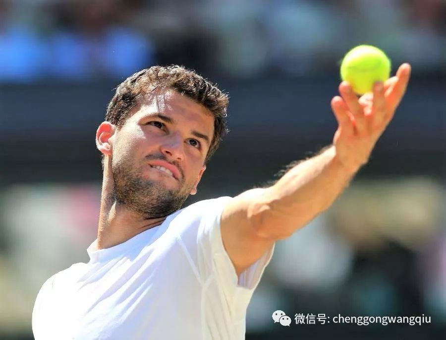 他的全能表 他的全能表