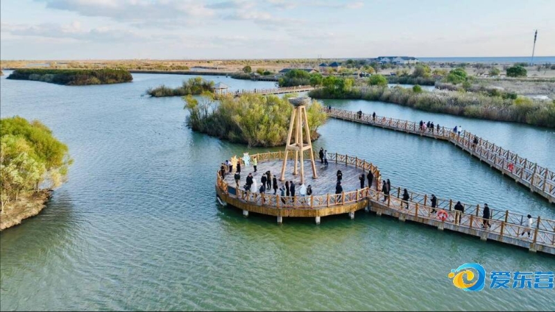 这一攻势 这一攻势