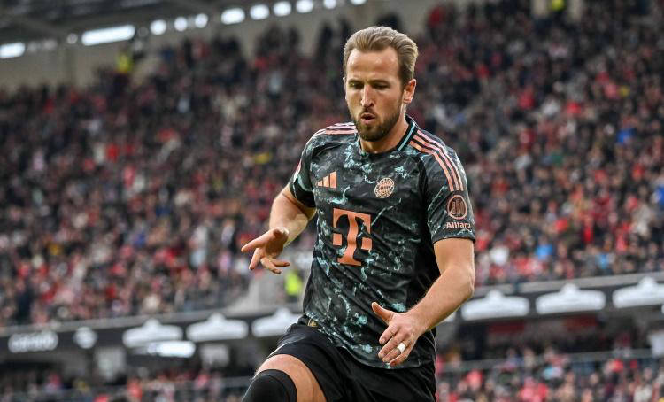 他的稳定发 他的稳定发